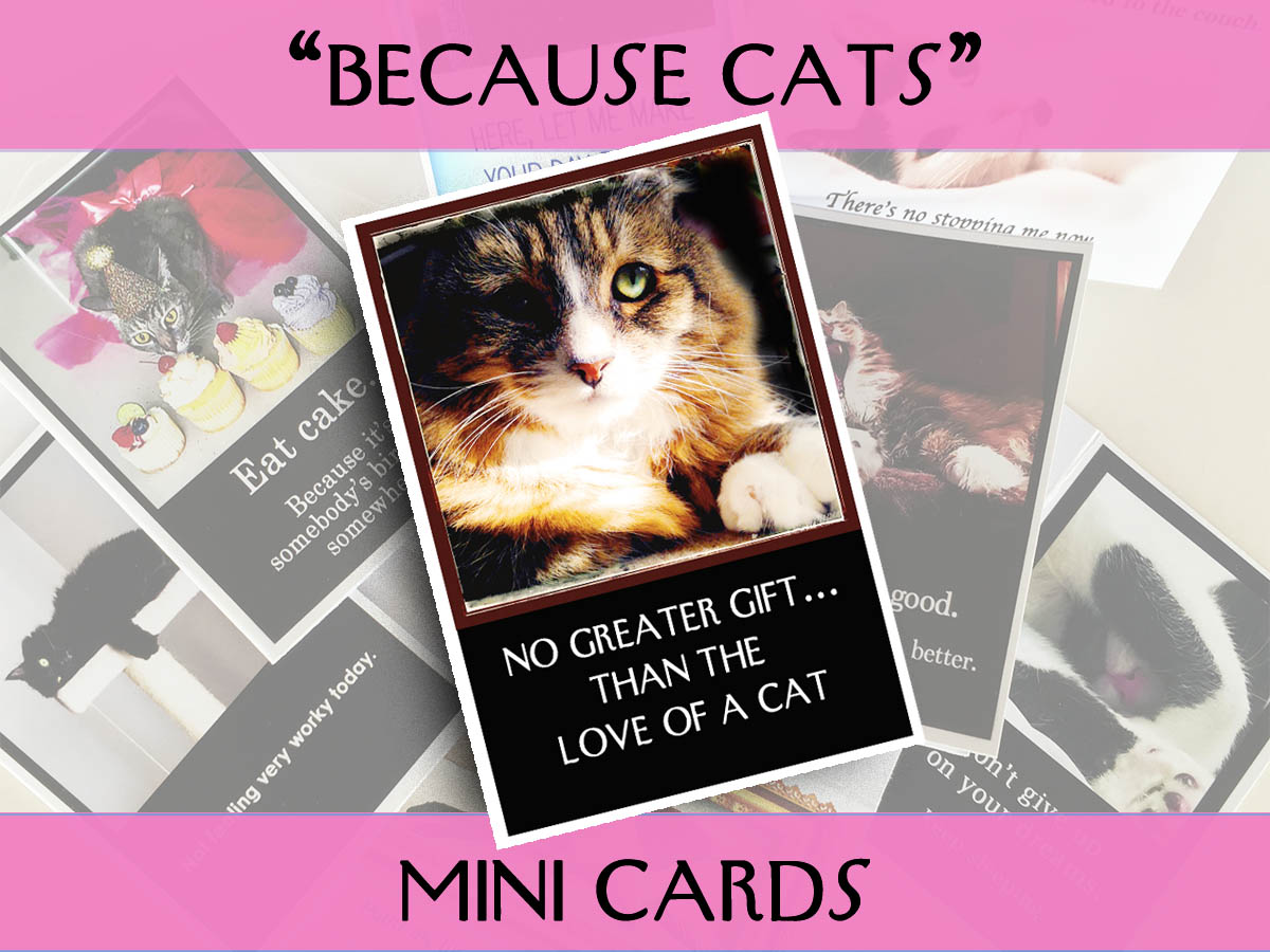 Mini Cards: Because Cats